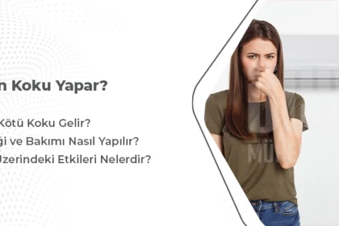 Klima Neden Koku Yapar?